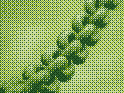 a small dithered chain